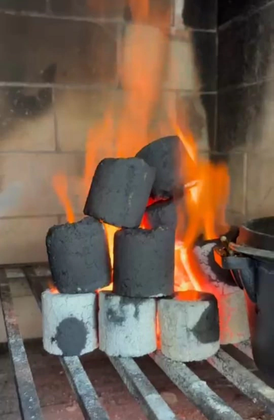 Carbón Premium Alto Rendimiento HOLZ
