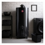 Termotanque a Gas Natural Rheem 80 Litros de Pie Alta Recuperación TGNP080RH